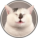 Meet the Marshmallows logo