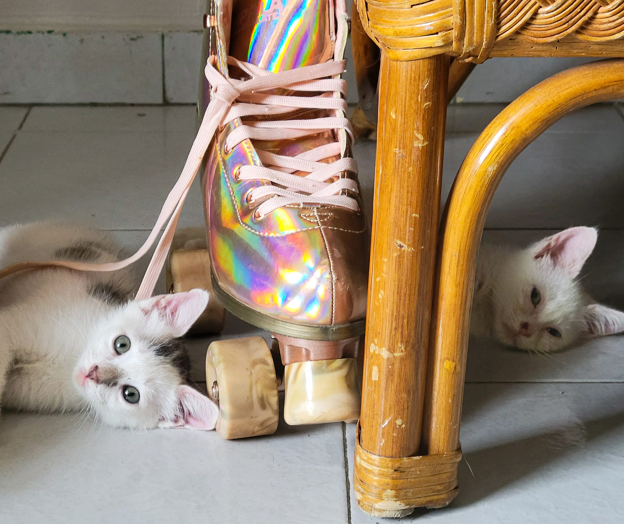 NeoVim and Kali Linux pose beside colorful roller skates in a playful portrait.